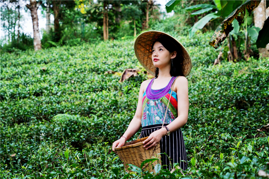 云南小众的养老旅居城市,云南昆明适合养老吗