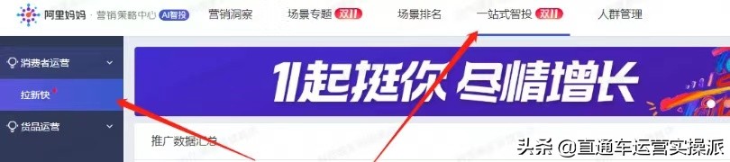 非标品新品滞销品直通车推广,标品新品直通车推广方案