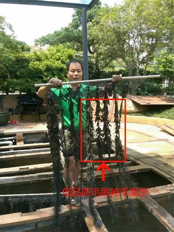 鱼池过滤刷作用,鱼池过滤解析