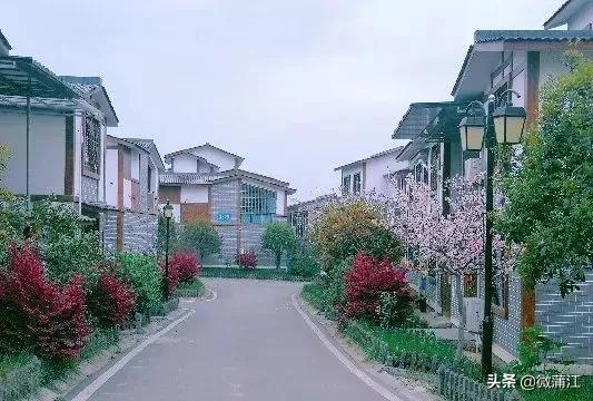 蒲江乡村风光,四川十大贫困县蒲江