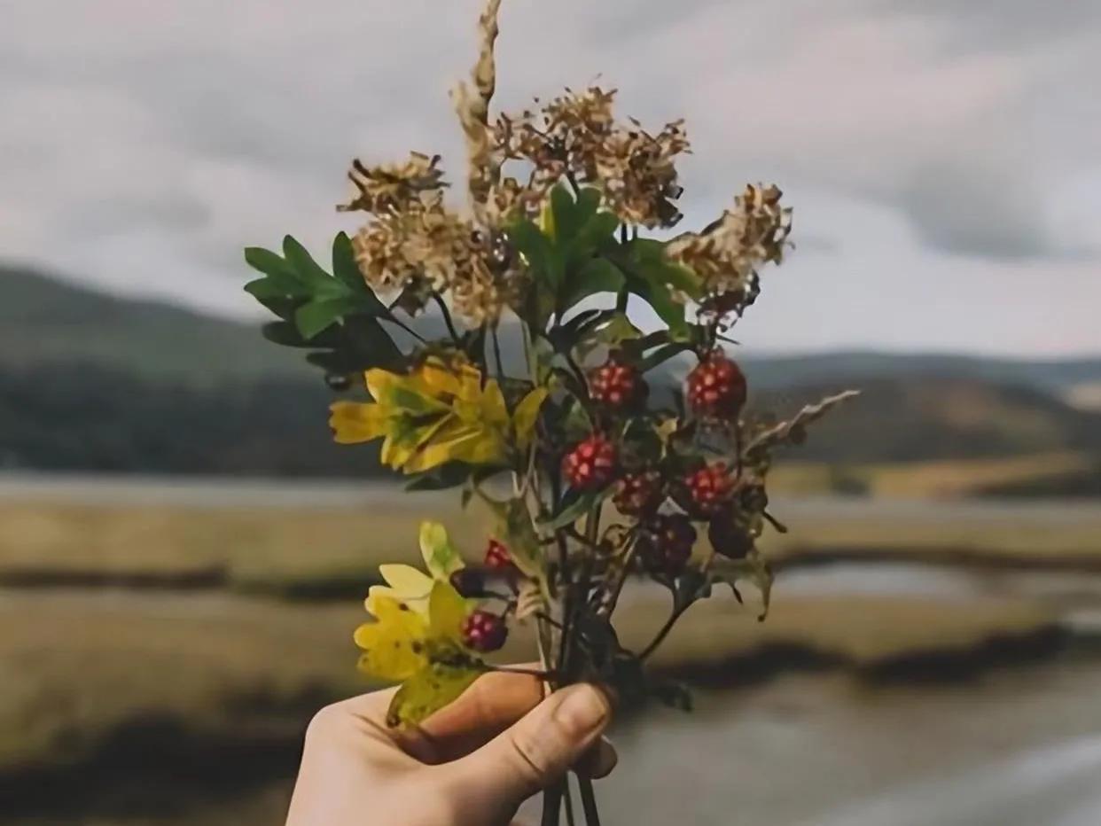 爱你的人会投其所好,表达一个人爱你爱到竭尽所能