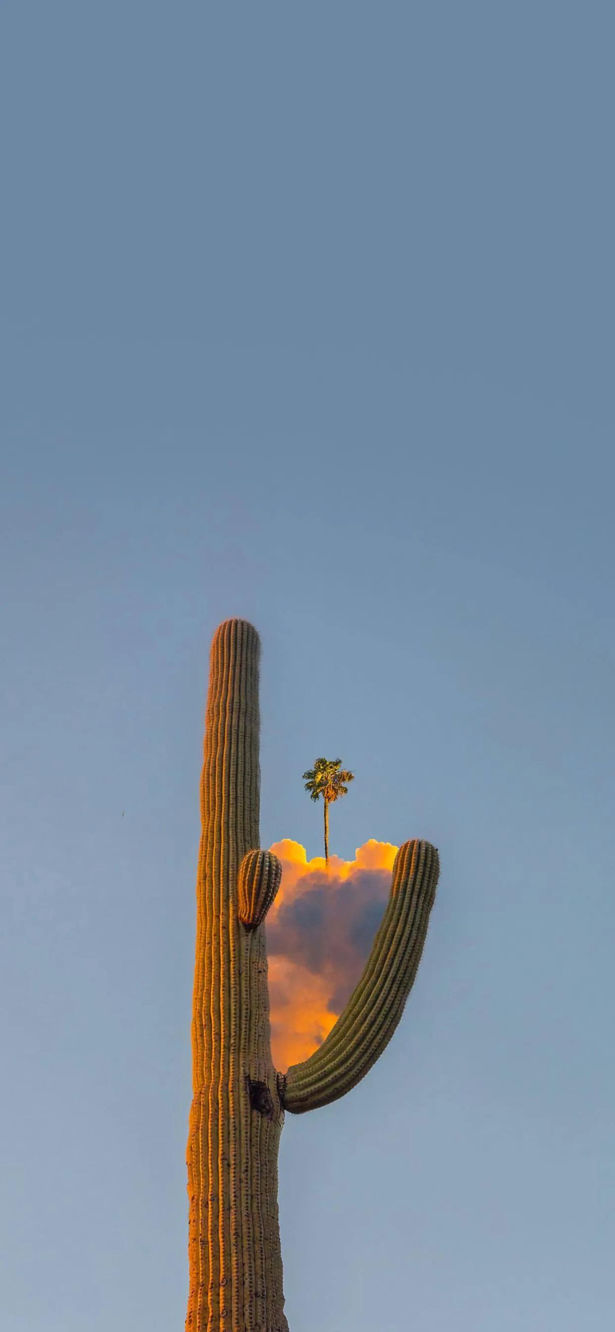 让人很惊艳的微信壁纸,2021独一无二微信背景高清壁纸