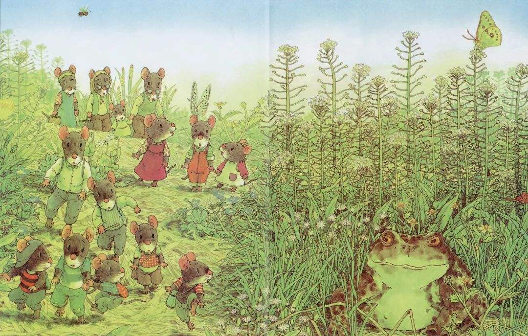 绘本3-6岁经典绘本老鼠和蝙蝠,好看的小老鼠绘本