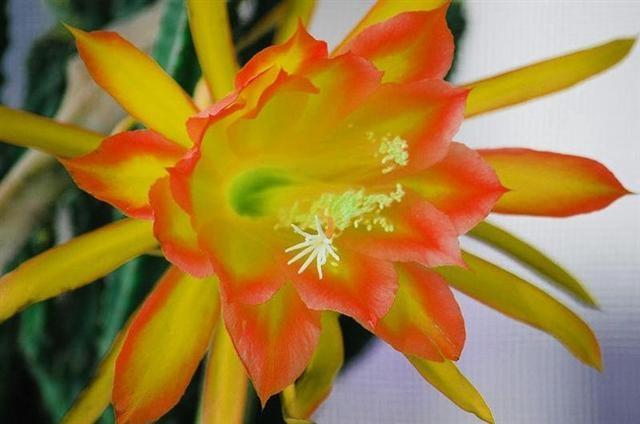 你一无所有的时候你就会东山再起,当你一无所有的时候才幡然悔悟