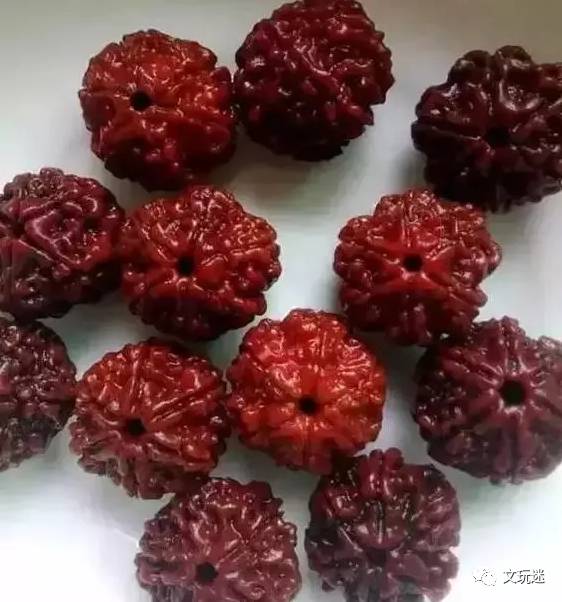 菩提手串长毛发霉有危害,菩提手串长虫子对我们有什么危害