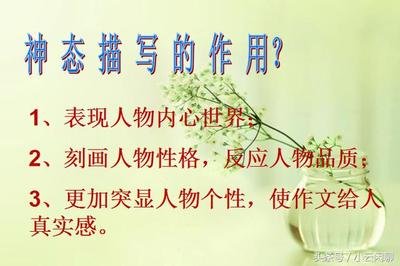 描写人物动作神态的词语三年级,描写人物神态的句子小学三年级