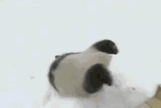 刀塔英雄全英雄属性,刀塔敏捷英雄排名