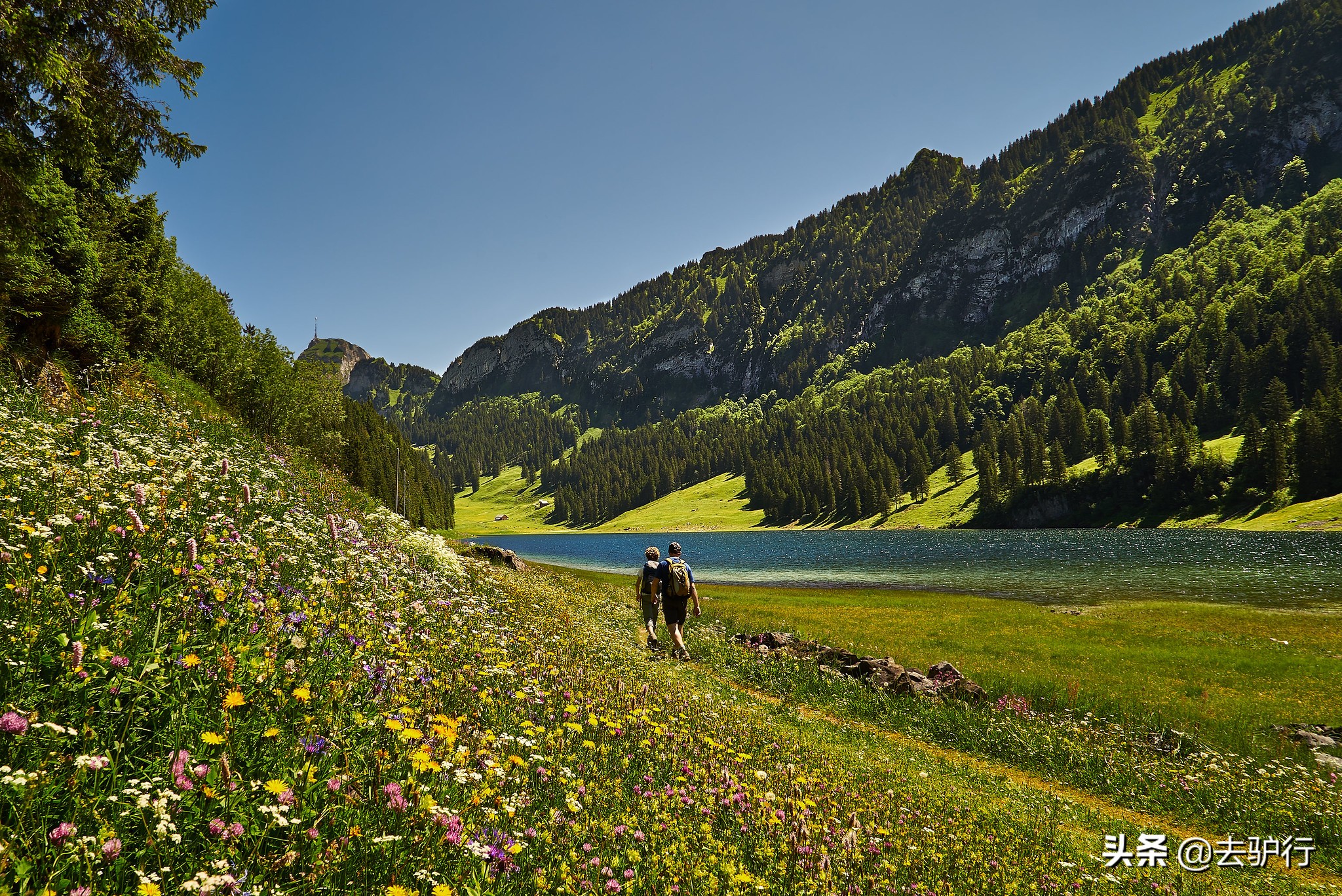 瑞士gdp历史超过我国吗,瑞士gdp全球排名