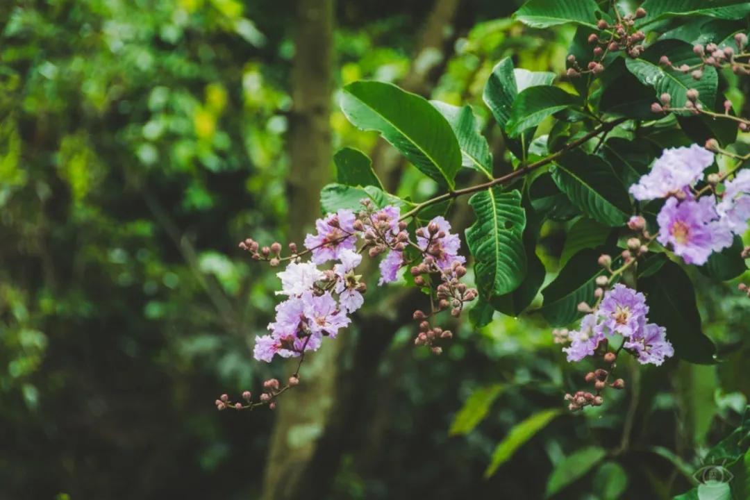 深圳值得打卡的建筑物,深圳最值得打卡的山
