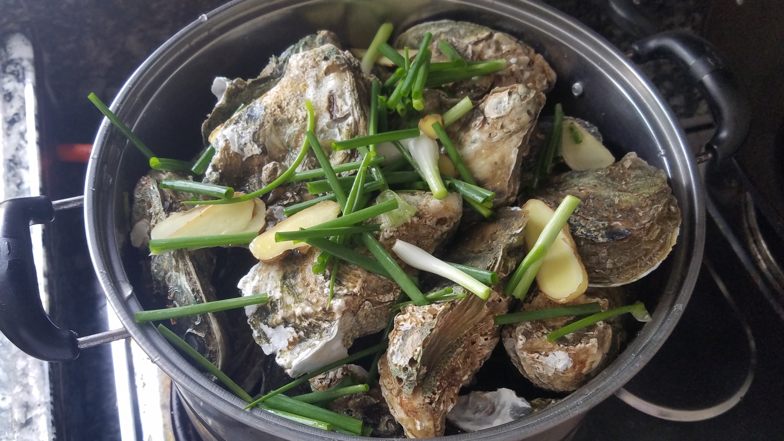 生蚝又好吃又简单的做法,生蚝的多种做法大全