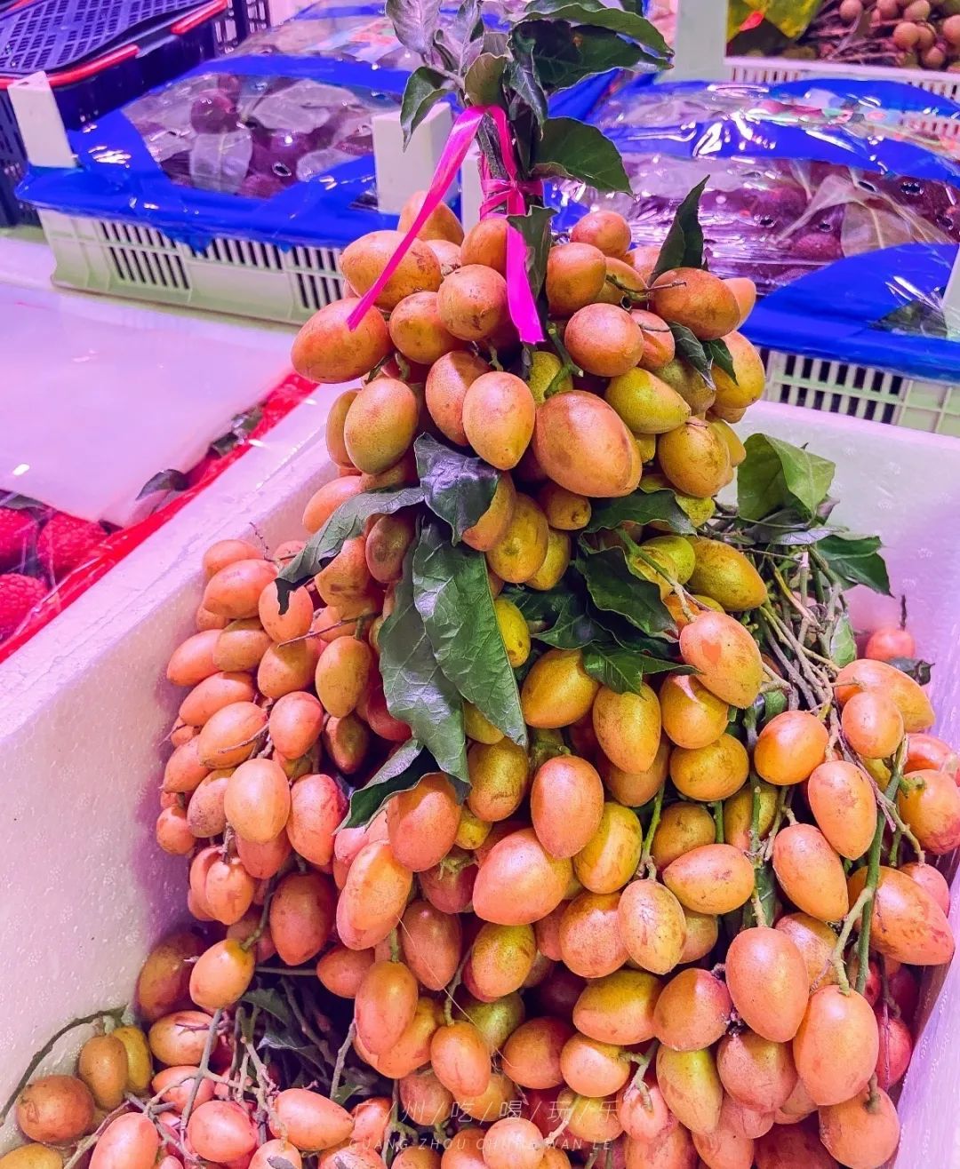 地铁坐到水果市场附近,广州天平架水果市场