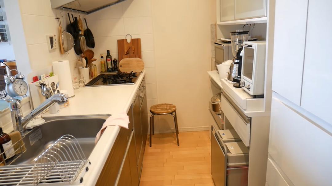 日本丁克主妇的一日三餐,日本丁克主妇的真实生活