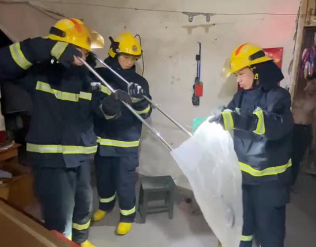 湖南一男子上厕所遇剧毒眼镜蛇,一男子在枕头下发现五步蛇