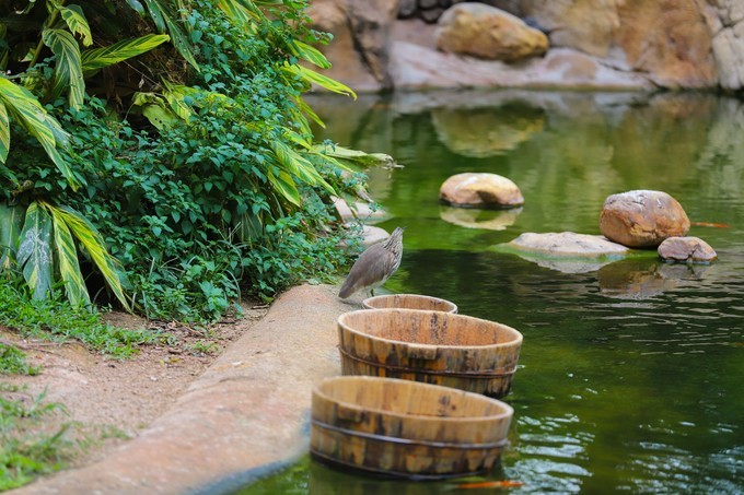 玩转珠海酒店,玩转珠海长隆全攻略