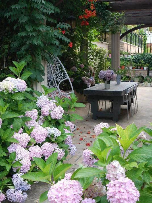 北方一年四季都开花的花园,东北花园四季开花植物