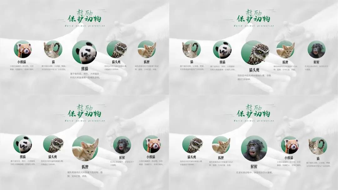 ppt排版设计技巧ppt制作培训教程,ppt多图经典案例排版