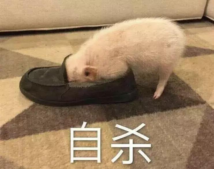 酱油清肠，避孕药洗头，这些自杀式养生为什么总有人信？