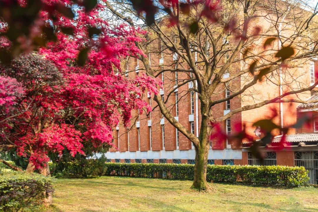 那些令人惊艳绝伦的情书,6行最惊艳的情书