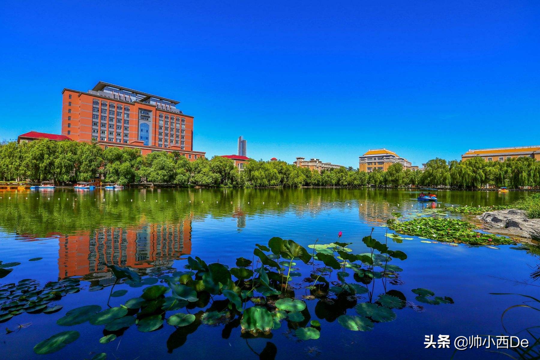 2019辽宁高校合并进程,辽宁高校整合的最新消息