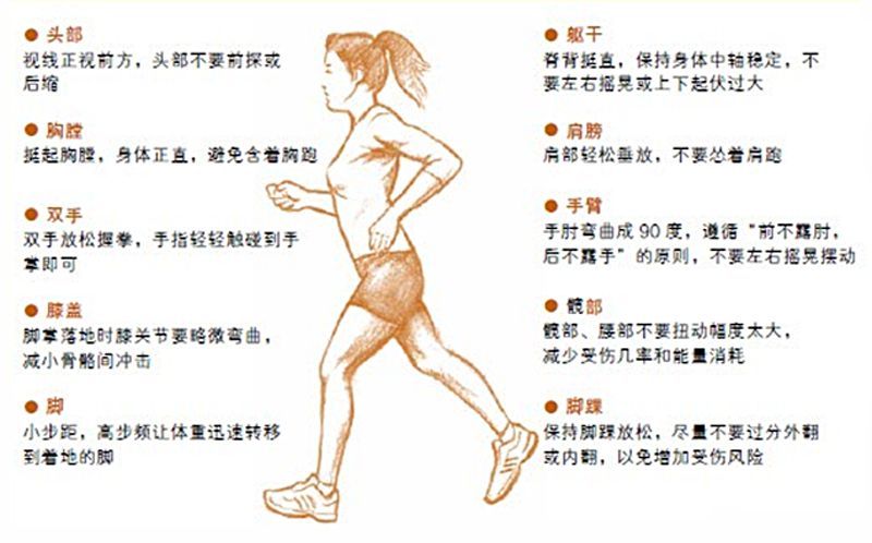 跑步一年脚为什么会变大,跑步小腿变粗了怎么细下来