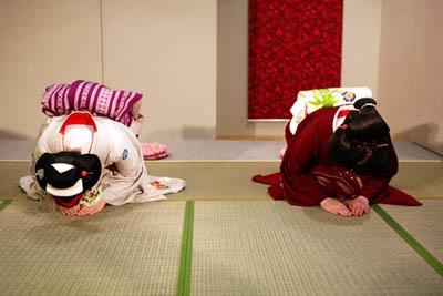 明治时期日本艺伎,日本艺伎的神秘人生