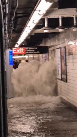 超强暴雨致纽约内涝,纽约大暴雨鞋仓被淹