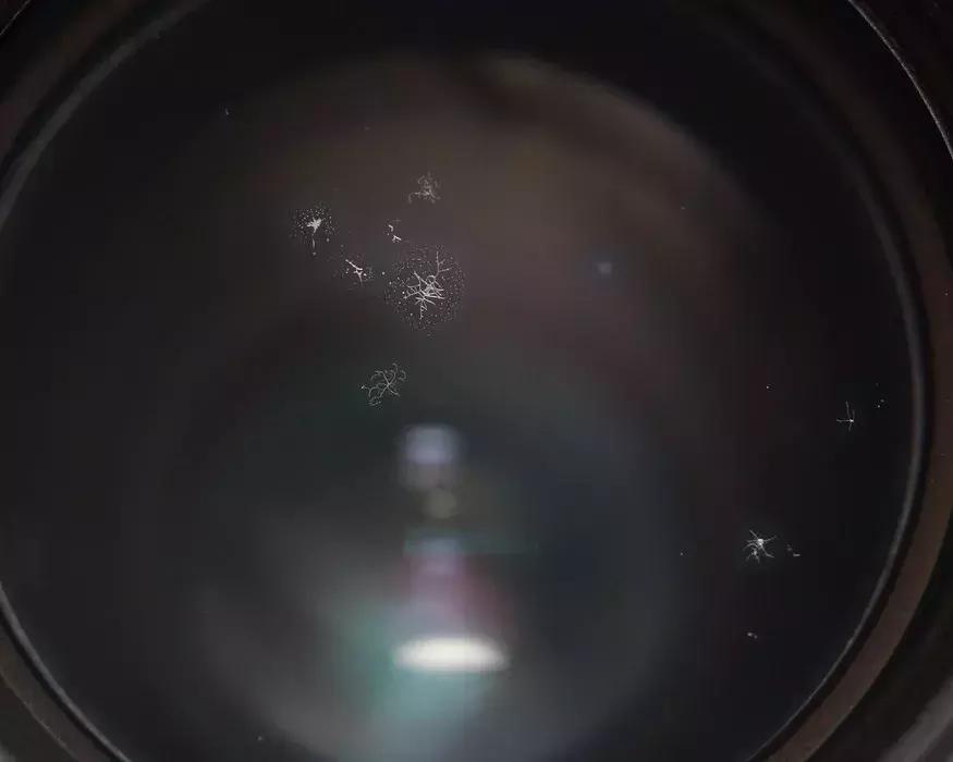 镜头镀膜损伤对成像有影响吗,镜头镀膜损坏照片模糊