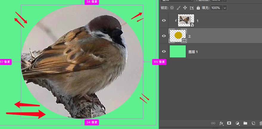 ps各种蒙版使用教程,ps入门学习如何使用蒙版
