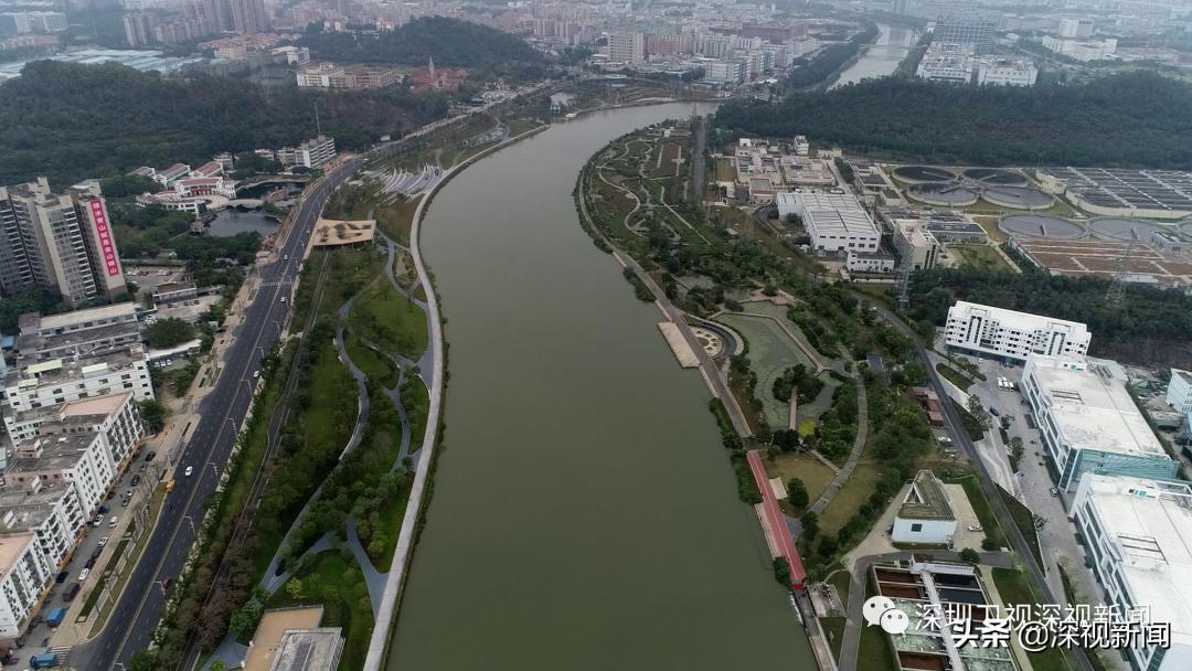 深圳市水务集团董事长胡嘉东,胡嘉东深圳水务局