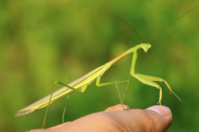 老人拇指痛,被医生封闭治疗后,一口气喘不上,医生急了