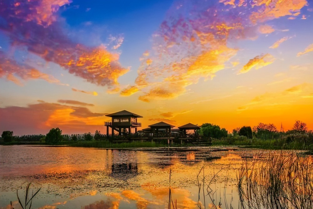 莱西市有多大有什么发展前景,青岛莱西是个县城吗