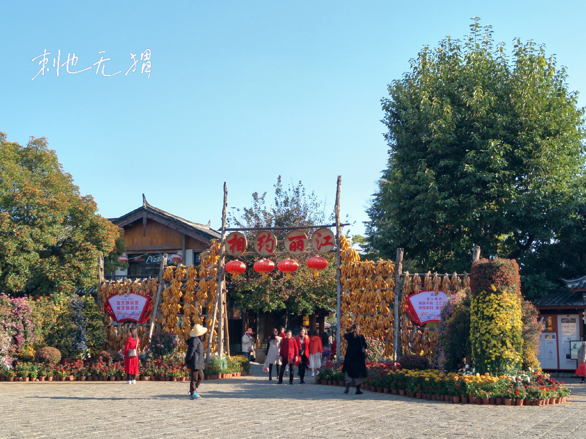 冬天适合去丽江旅游吗,冬天云南丽江旅游全攻略