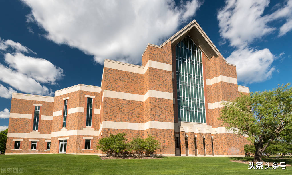 我的校园五年级优秀作文,五年级写我的校园