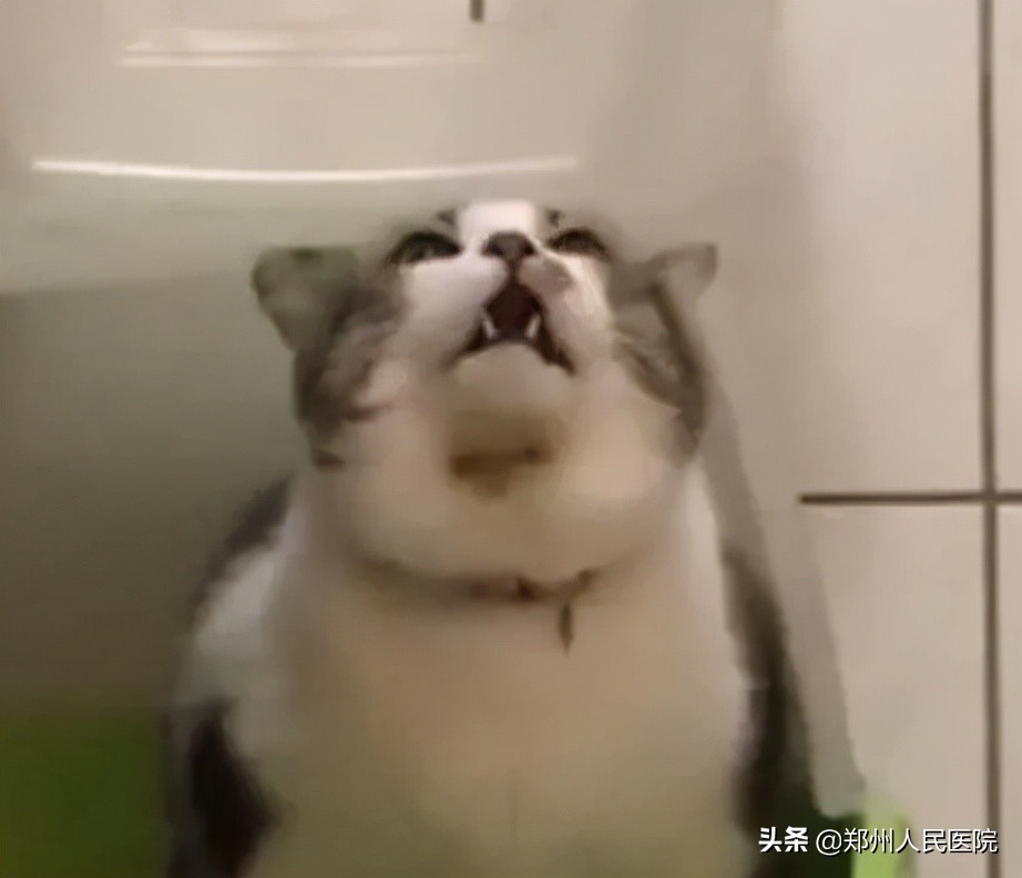 吃酵素体内肠子吃成了蛇皮状,吃了酵素便秘怎么调理