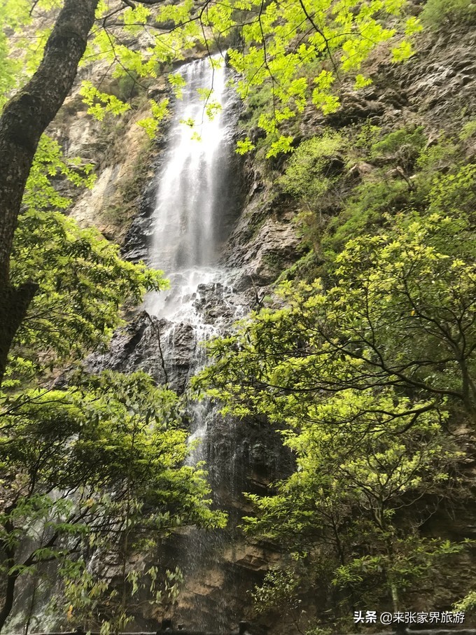 张家界玻璃桥天门山凤凰四日游,天门山到凤凰古城攻略