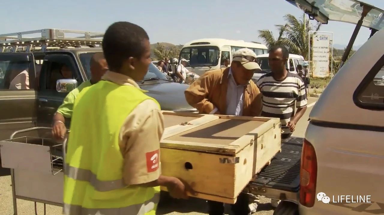 龟中“考拉”，请别让我们的孩子在博物馆见到它们...