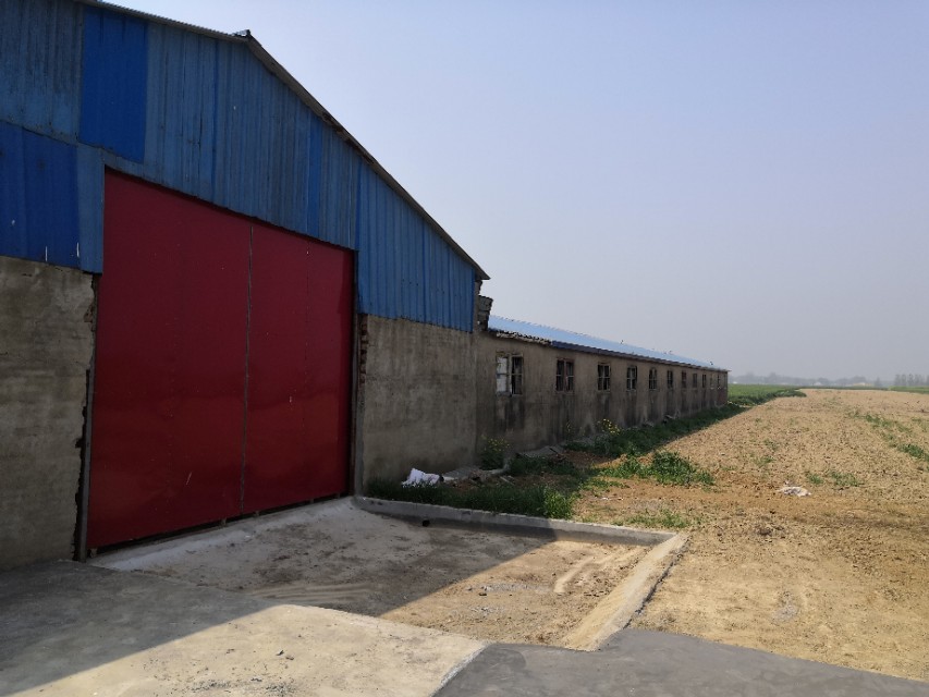 饲料赊销如何破局,卖饲料如何做到不赊账销量又好