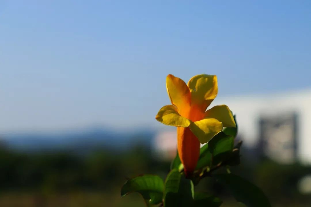 遇见了14号线，遇见城建学院还会远吗？