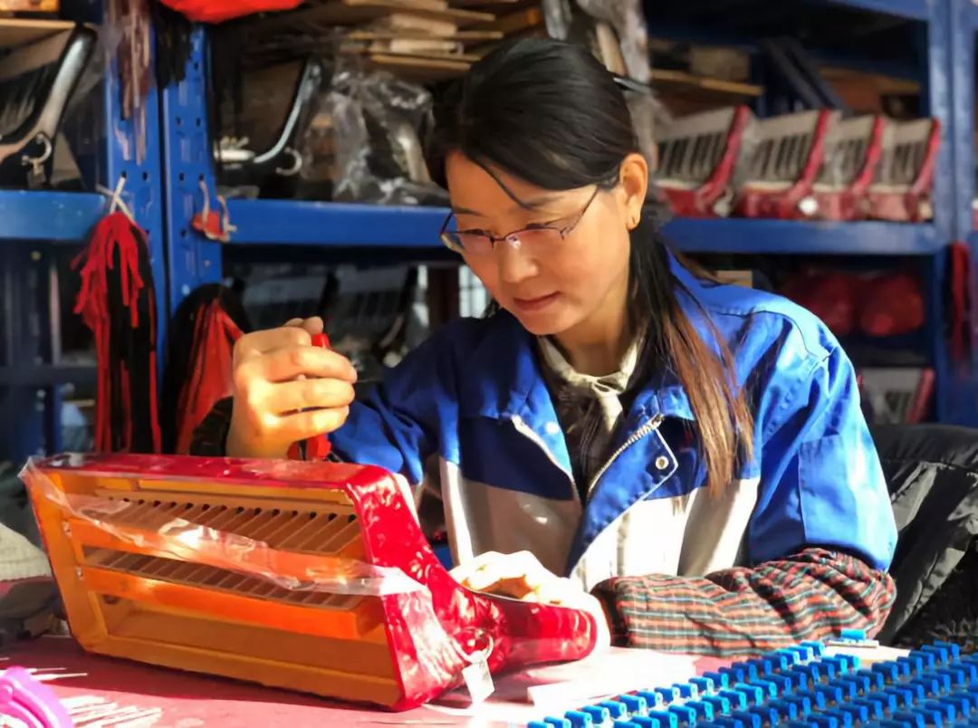 静海鹦鹉乐器打造“4S店”服务模式