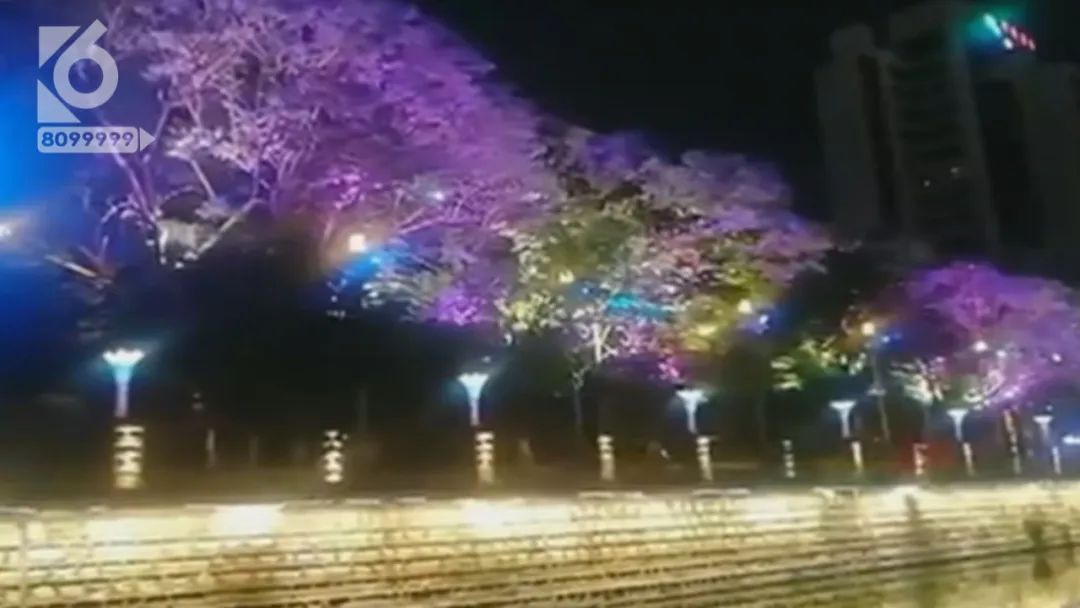 昆明五一周边旅游推荐,昆明周边五一好去处