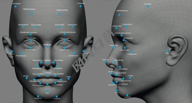 超星尔雅学习通生命智能的答案,超星尔雅智慧考试系统