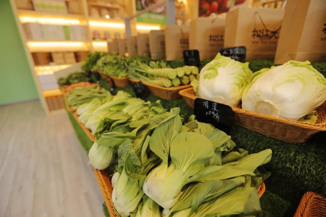 松江绿色农产品,泖港绿色食品基地