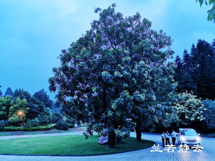长泰半月山温泉酒店团购,长泰半月山温泉酒店附近景点