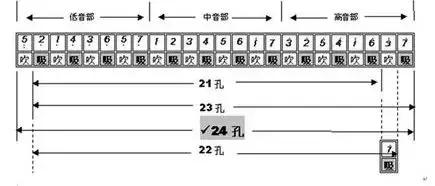 新手学口琴入门教学视频,新手学哪种口琴