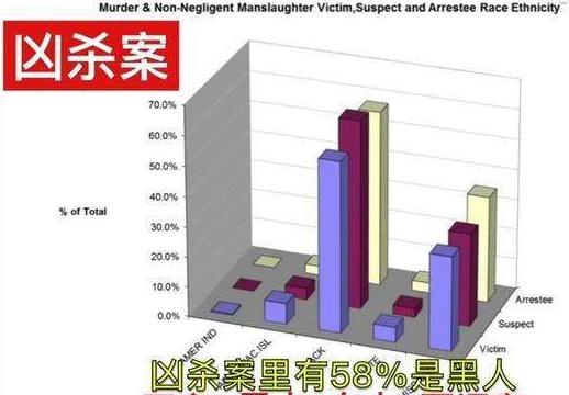 黑人天生自甘堕落？看看被美国白人摧毁的“黑人华尔街”吧