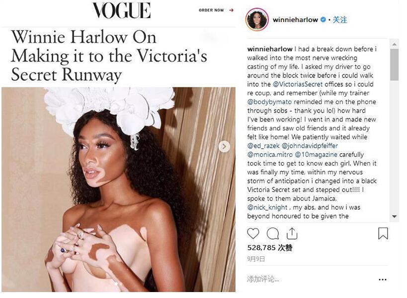 维密超模2017最贵内衣,维密超模200万美元内衣