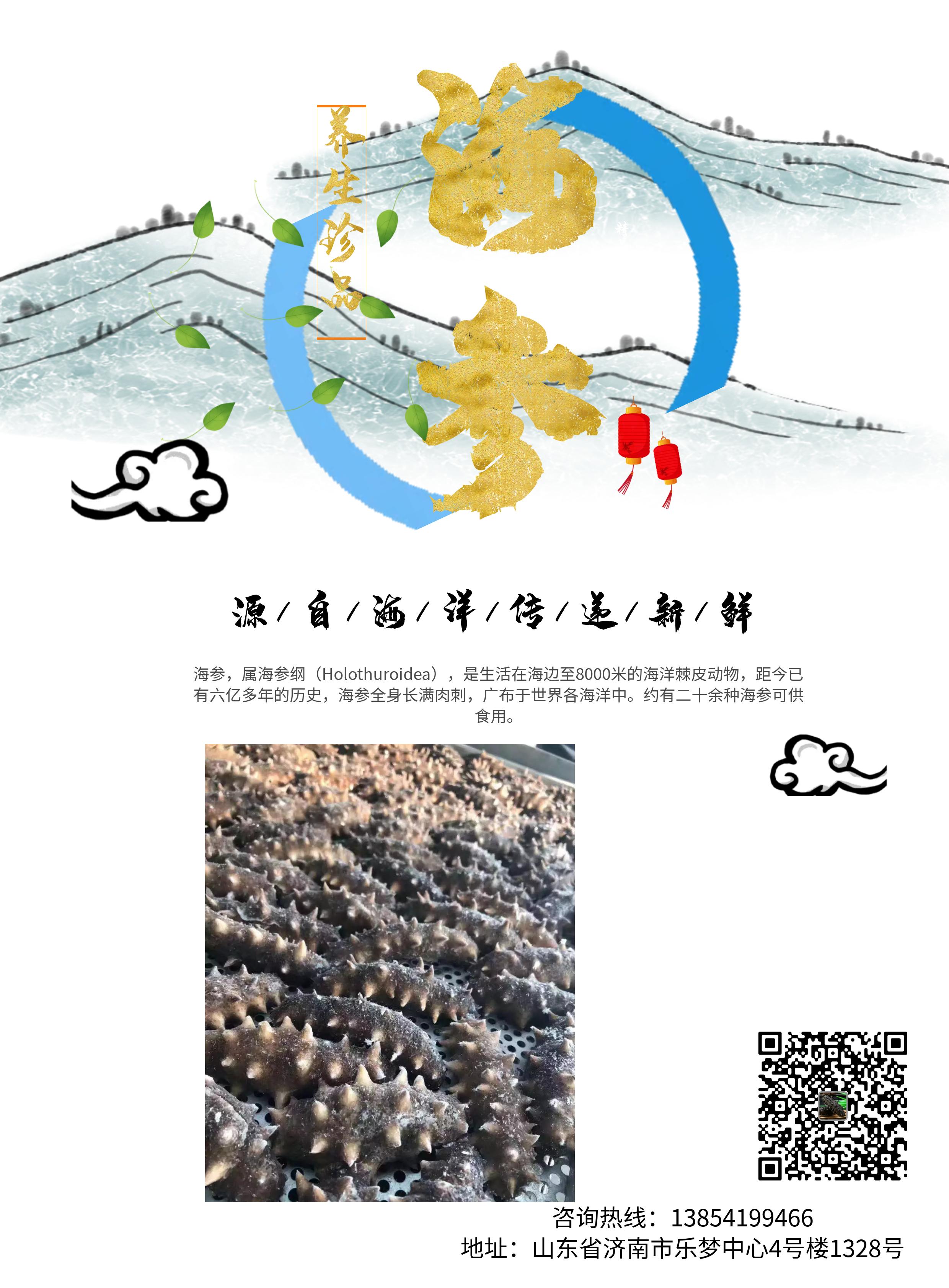 海参出自哪里,海参济南历城