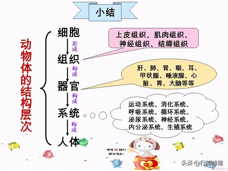 「共63题」强国争上游答题中的“动物世界”专题（最全辨析）