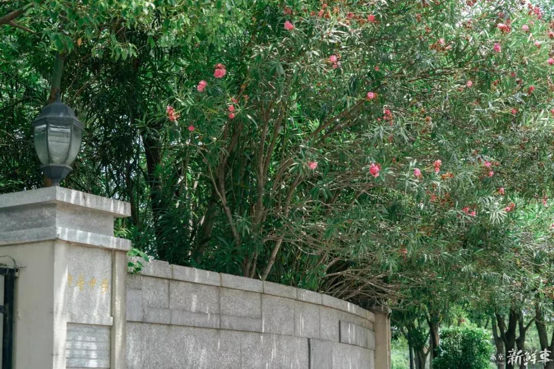 中华中学高中,中华中学