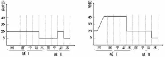 生物必修二知识点归纳总结,高中必修二生物遗传概率解题技巧